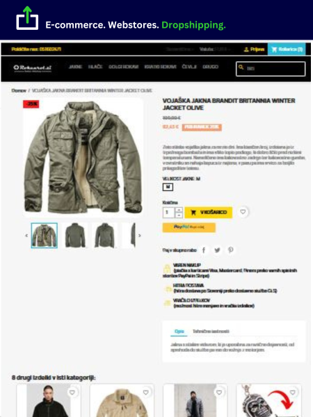 E-commerce. Webstores. Dropshipping.(19)